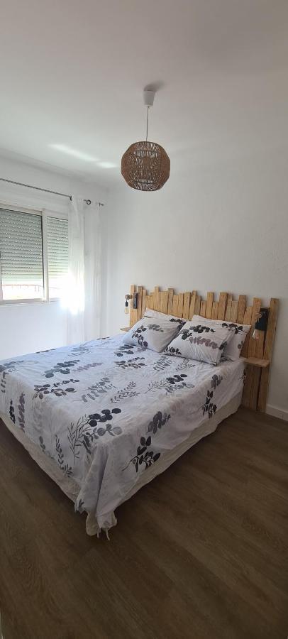 Appartement En Bord De Plage - A 50 M De La Mer كانيه المظهر الخارجي الصورة
